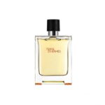 ادکلن مردانه هرمس Hermes مدل Terre d`Hermes Parfum حجم 100 میلی لیتر