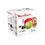 Moulinex LM181 Blender