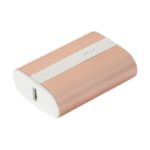 شارژر همراه راوپاور مدل RP-PB197 با ظرفیت 10000| فروشگاه Radek