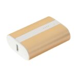 شارژر همراه راوپاور مدل RP-PB197 با ظرفیت 10000| فروشگاه Radek