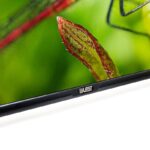 تلویزیون LED هوشمند بلست سایز 55 اینچ مدل BTV-55KDA312B - Image 3