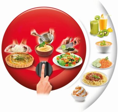 غذاساز مولینکس مدل FP824 1 9
