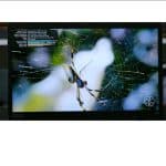 لپ تاپ استوک Lenovo مدل ThinkPad T495 سایز 14 اینچ - Image 3